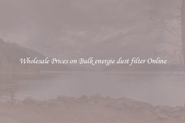 Wholesale Prices on Bulk energie dust filter Online