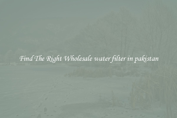 Find The Right Wholesale water filter in pakistan