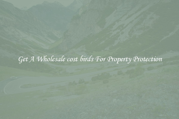 Get A Wholesale cost birds For Property Protection