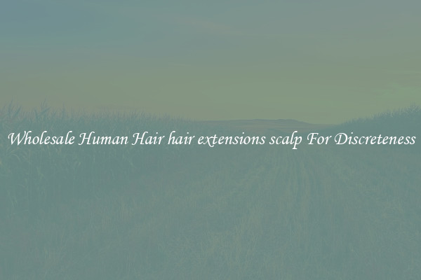 Wholesale Human Hair hair extensions scalp For Discreteness