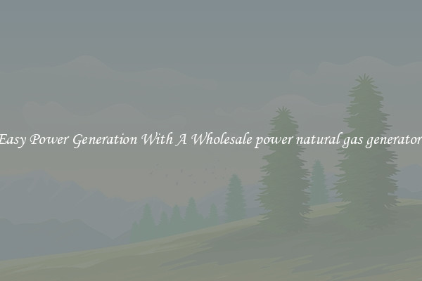 Easy Power Generation With A Wholesale power natural gas generators