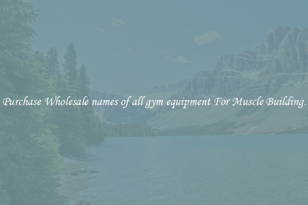 Purchase Wholesale names of all gym equipment For Muscle Building.