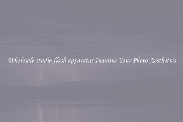 Wholesale studio flash apparatus Improve Your Photo Aesthetics