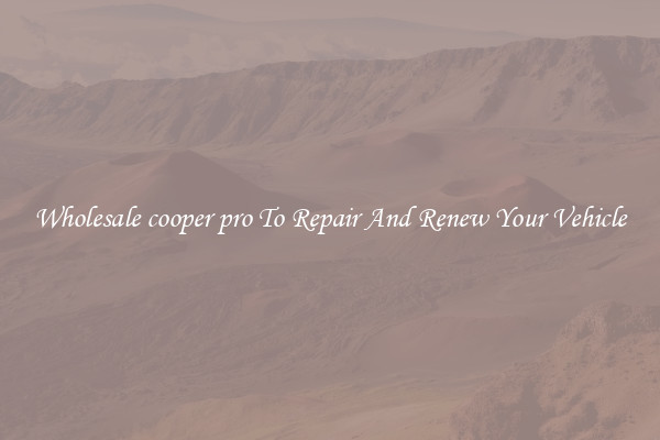 Wholesale cooper pro To Repair And Renew Your Vehicle