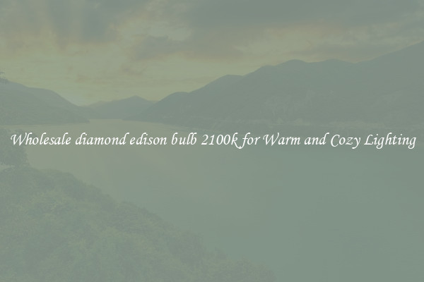Wholesale diamond edison bulb 2100k for Warm and Cozy Lighting