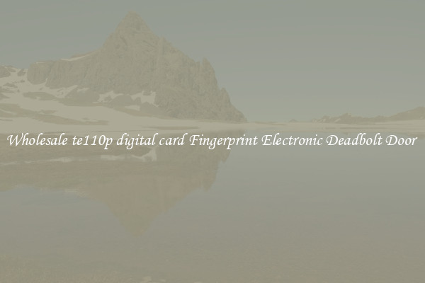 Wholesale te110p digital card Fingerprint Electronic Deadbolt Door 