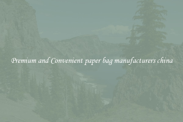 Premium and Convenient paper bag manufacturers china