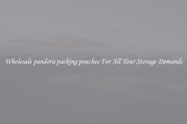 Wholesale pandora packing pouches For All Your Storage Demands