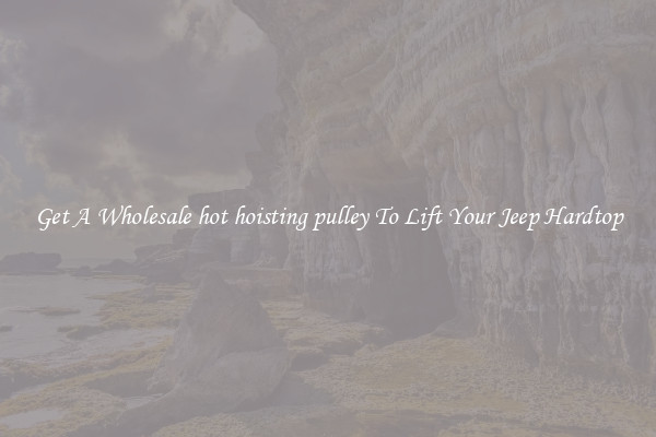 Get A Wholesale hot hoisting pulley To Lift Your Jeep Hardtop