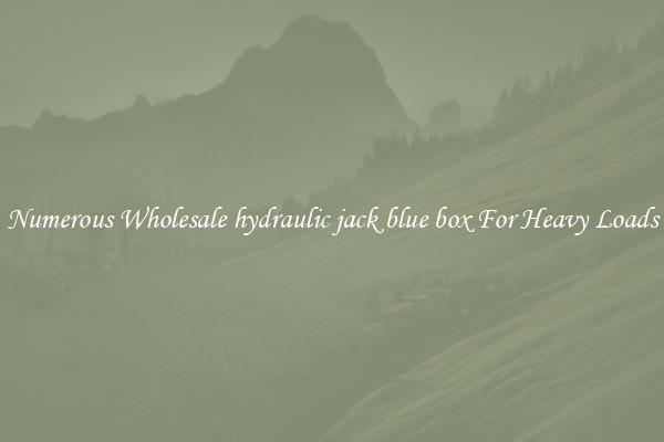 Numerous Wholesale hydraulic jack blue box For Heavy Loads