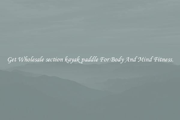 Get Wholesale section kayak paddle For Body And Mind Fitness.