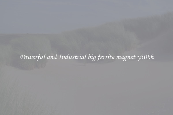 Powerful and Industrial big ferrite magnet y30bh