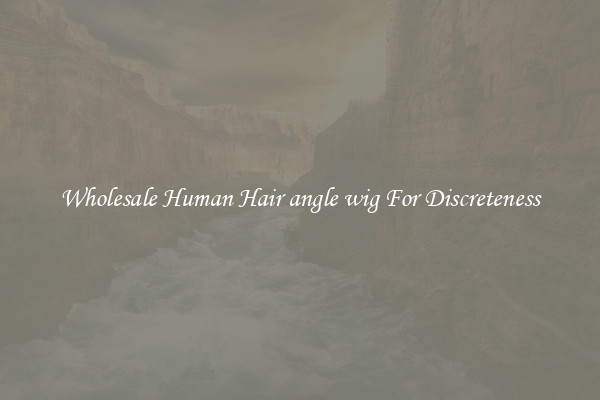 Wholesale Human Hair angle wig For Discreteness
