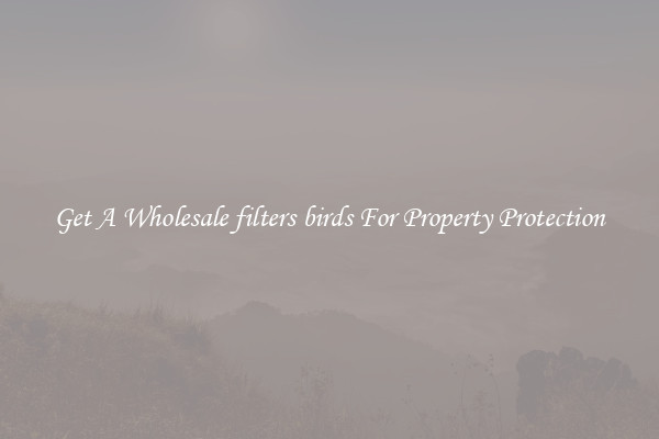 Get A Wholesale filters birds For Property Protection