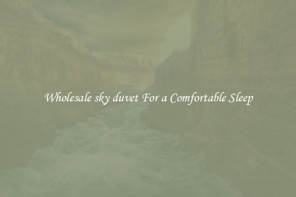 Wholesale sky duvet For a Comfortable Sleep