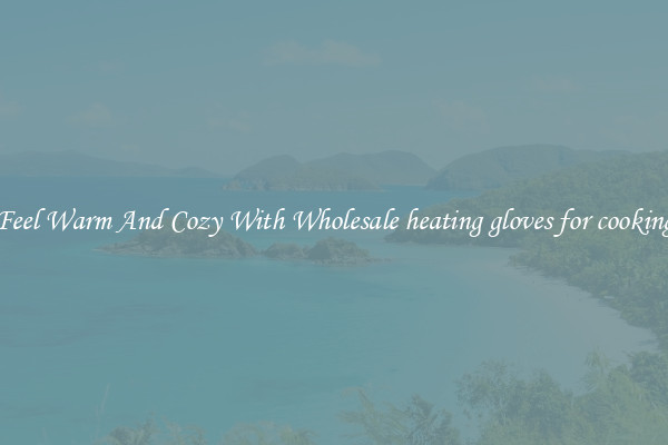Feel Warm And Cozy With Wholesale heating gloves for cooking