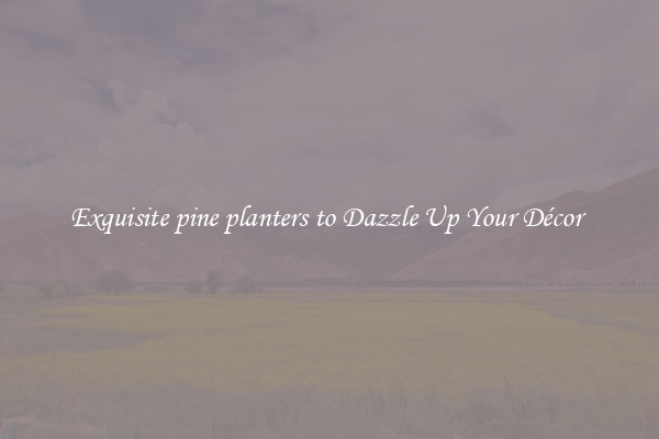 Exquisite pine planters to Dazzle Up Your Décor 