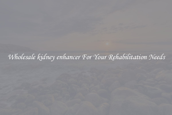 Wholesale kidney enhancer For Your Rehabilitation Needs