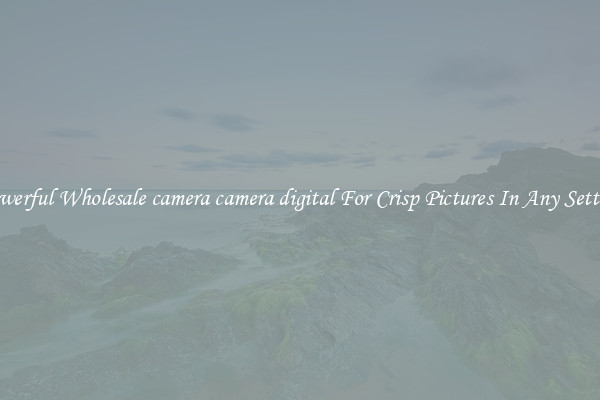 Powerful Wholesale camera camera digital For Crisp Pictures In Any Setting